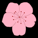 WWW,846se·COM网站APPAPP应用